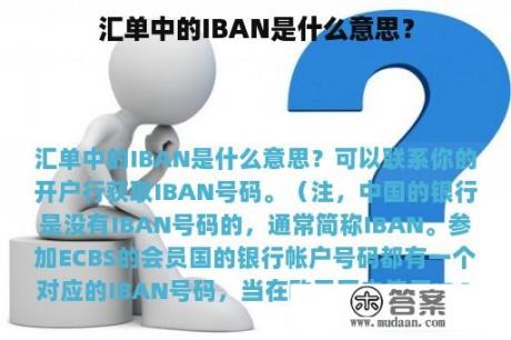 汇单中的IBAN是什么意思？