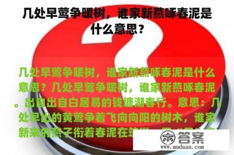 几处早莺争暖树，谁家新燕啄春泥是什么意思？