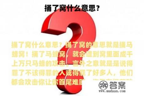 捅了窝什么意思？