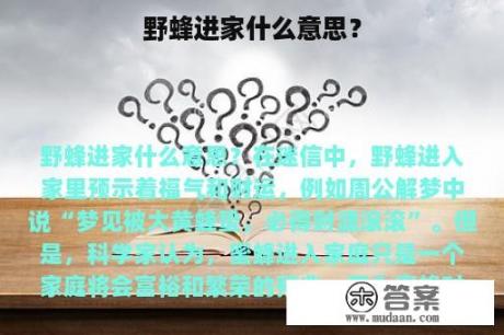 野蜂进家什么意思？