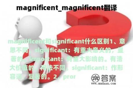 magnificent_magnificent翻译