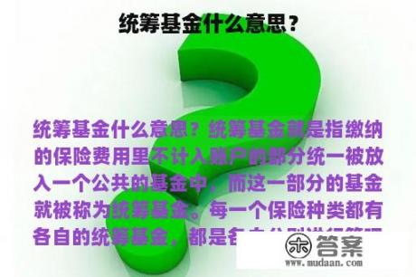 统筹基金什么意思？