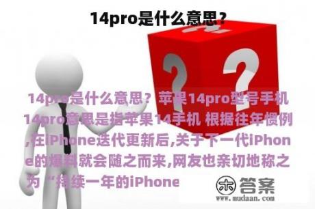 14pro是什么意思？