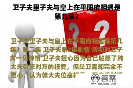 卫子夫里子夫与皇上在平阳府相遇是第几集？