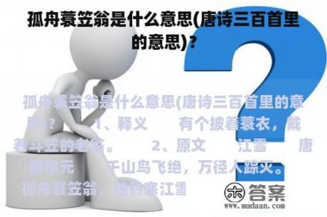 孤舟蓑笠翁是什么意思(唐诗三百首里的意思)？