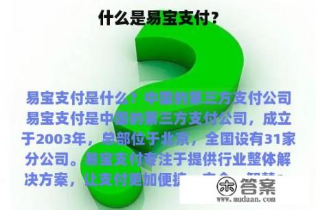 什么是易宝支付？