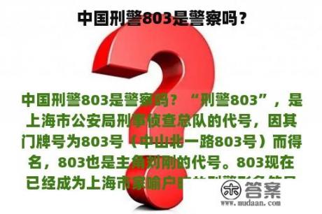 中国刑警803是警察吗？