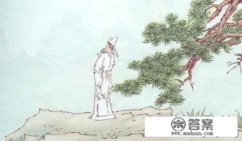 九月九日忆山东兄弟，王维，整首诗的意思是？