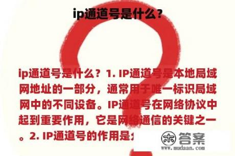 ip通道号是什么？