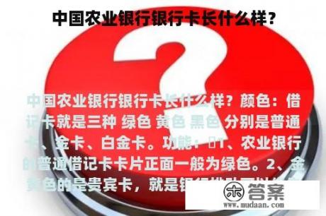 中国农业银行银行卡长什么样？