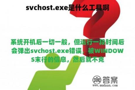 svchost.exe是什么工具啊