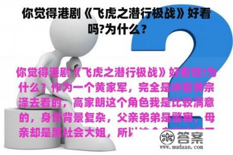 你觉得港剧《飞虎之潜行极战》好看吗?为什么？