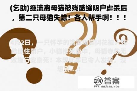 (乞助)继流离母猫被残酷缝阴户虐杀后，第二只母猫失踪！各人帮手啊！！！(