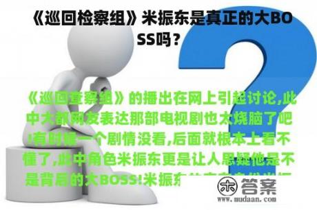 《巡回检察组》米振东是真正的大BOSS吗？