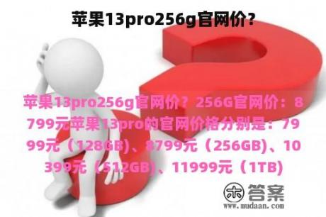 苹果13pro256g官网价？