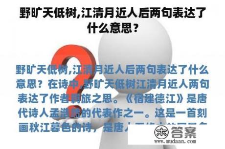 野旷天低树,江清月近人后两句表达了什么意思？