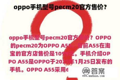 oppo手机型号pecm20官方售价？