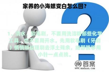 家养的小海螺变白怎么回？