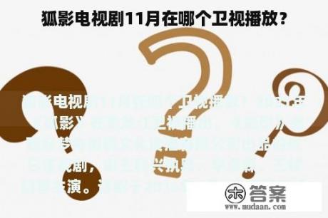 狐影电视剧11月在哪个卫视播放？