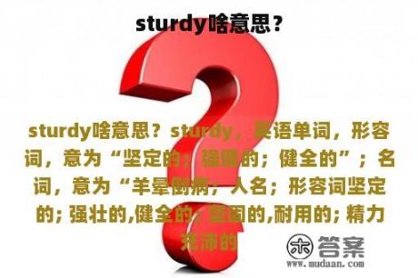 sturdy啥意思？