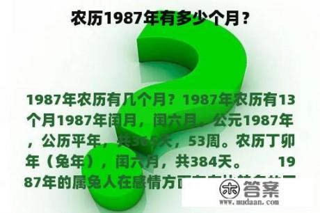 农历1987年有多少个月？