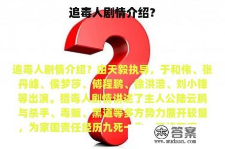 追毒人剧情介绍？