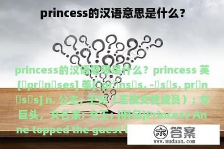 princess的汉语意思是什么？