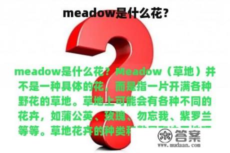 meadow是什么花？