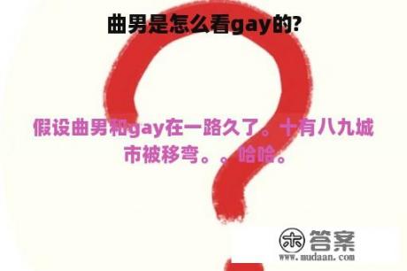 曲男是怎么看gay的?