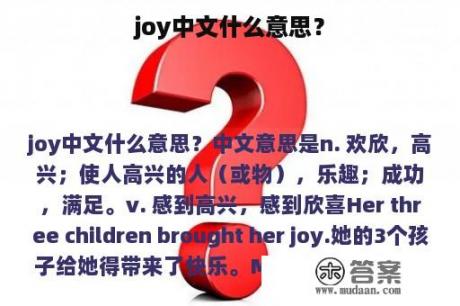 joy中文什么意思？