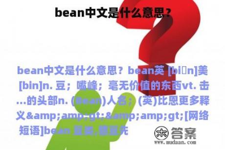 bean中文是什么意思？