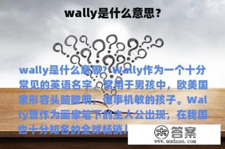 wally是什么意思？