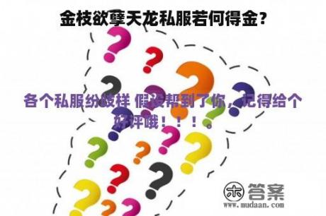 金枝欲孽天龙私服若何得金？