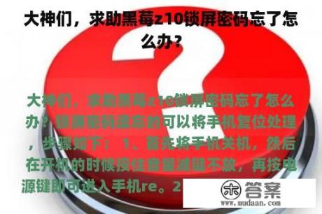 大神们，求助黑莓z10锁屏密码忘了怎么办？