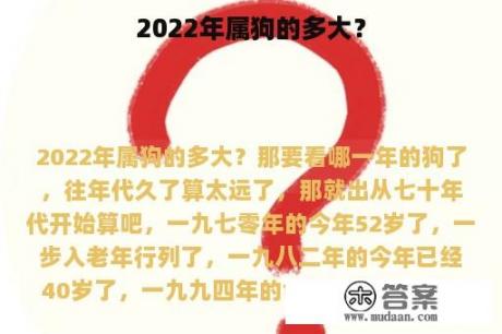 2022年属狗的多大？