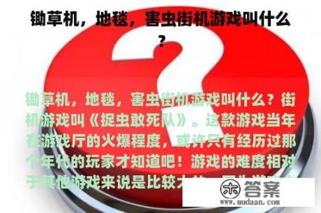 锄草机，地毯，害虫街机游戏叫什么？