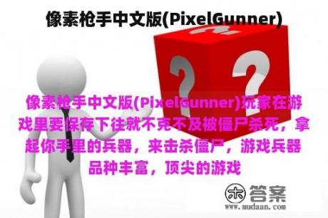 像素枪手中文版(PixelGunner)