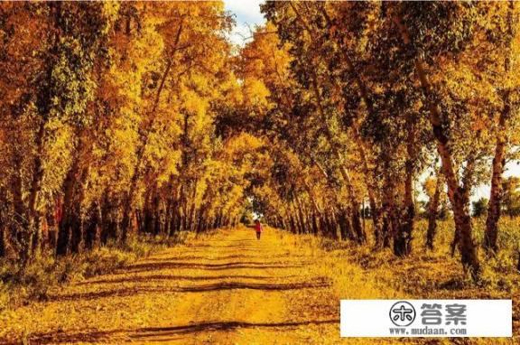 关于四季的古诗各三首？