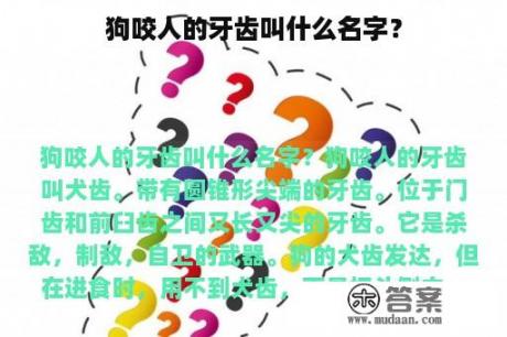 狗咬人的牙齿叫什么名字？