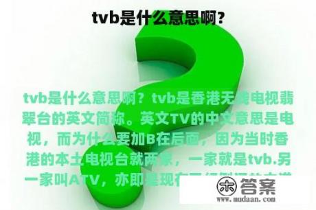 tvb是什么意思啊？