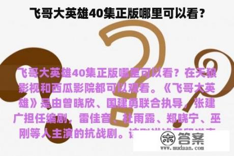 飞哥大英雄40集正版哪里可以看？