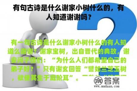 有句古诗是什么谢家小树什么的，有人知道谢谢吗？