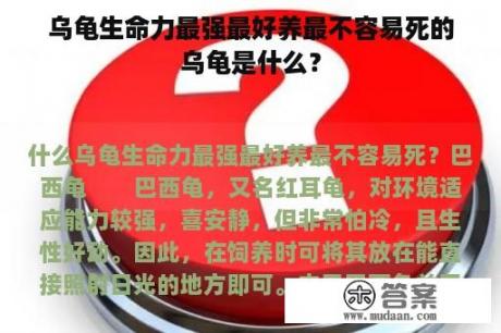 乌龟生命力最强最好养最不容易死的乌龟是什么？