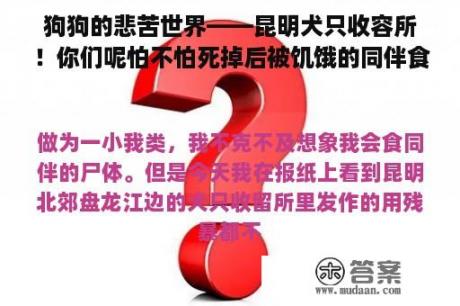 狗狗的悲苦世界——昆明犬只收容所！你们呢怕不怕死掉后被饥饿的同伴食掉尸