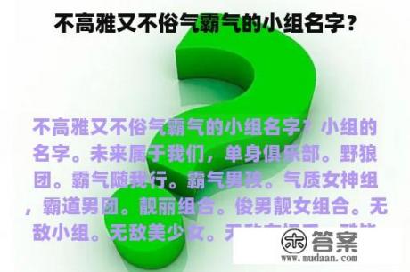 不高雅又不俗气霸气的小组名字？