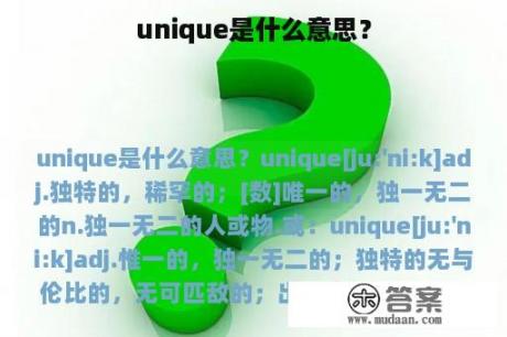 unique是什么意思？