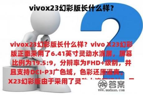 vivox23幻彩版长什么样？