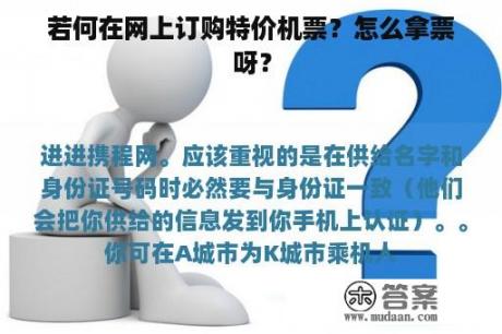 若何在网上订购特价机票？怎么拿票呀？