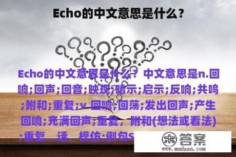 Echo的中文意思是什么？