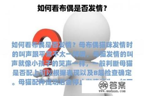 如何看布偶是否发情？